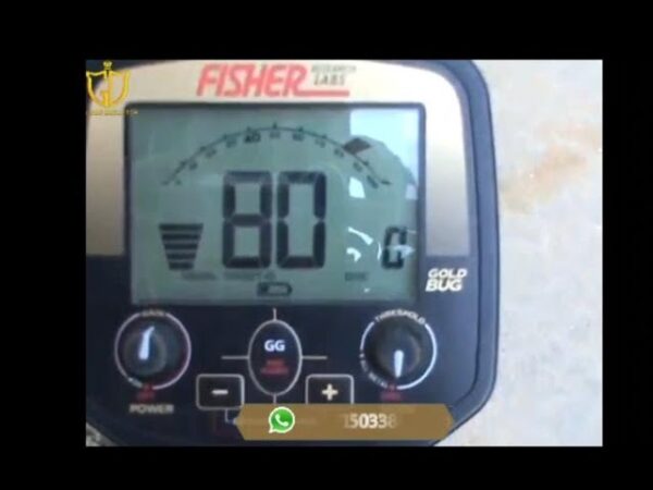 Fisher Gold Bug Pro: La Guía Completa para Detectar Oro Eficazmente - Revisiones y Comparativas de detectores de metales